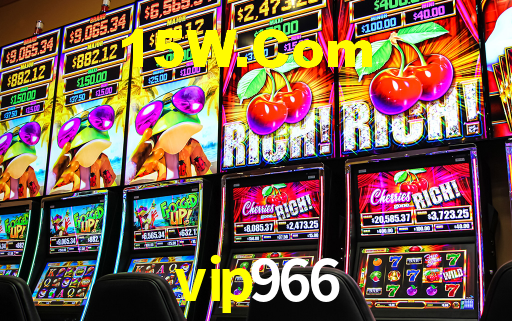 Premium Interface vip966