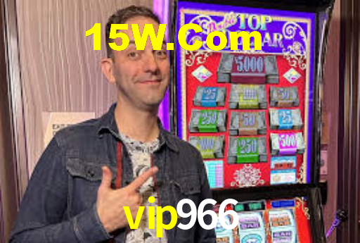 vip966 App Interface
