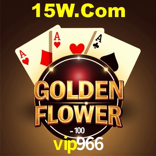 Interface Premium vip966